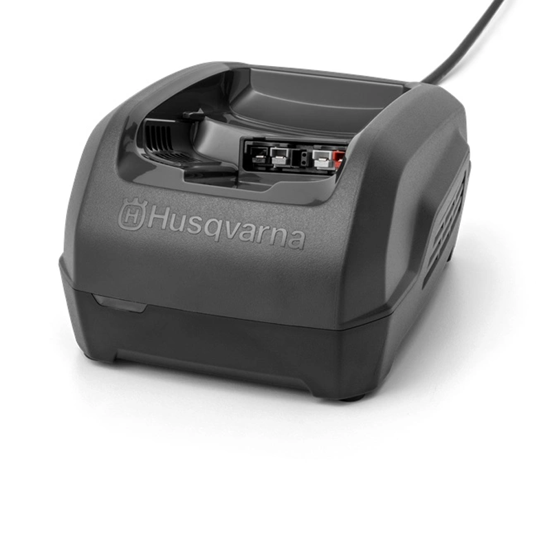 9679701-01 - Karikues i shpejte 36V, QC250 EU